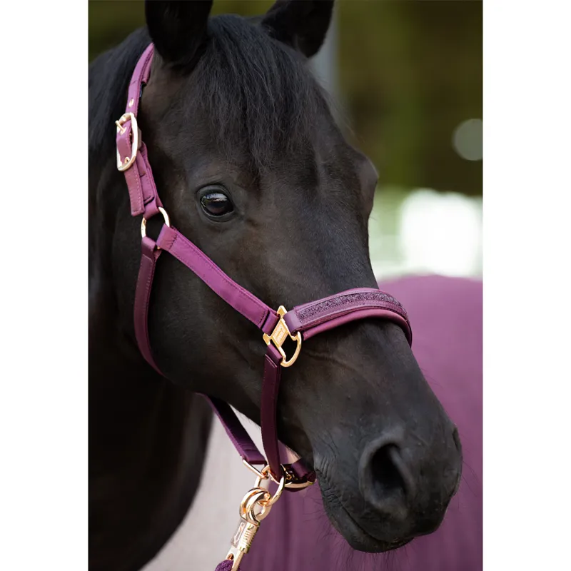 Eskadron Satin Jewel Double Pin Headcollar Heritage AW23 - Cassis-1